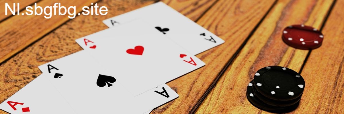 nl.sbgfbg.site